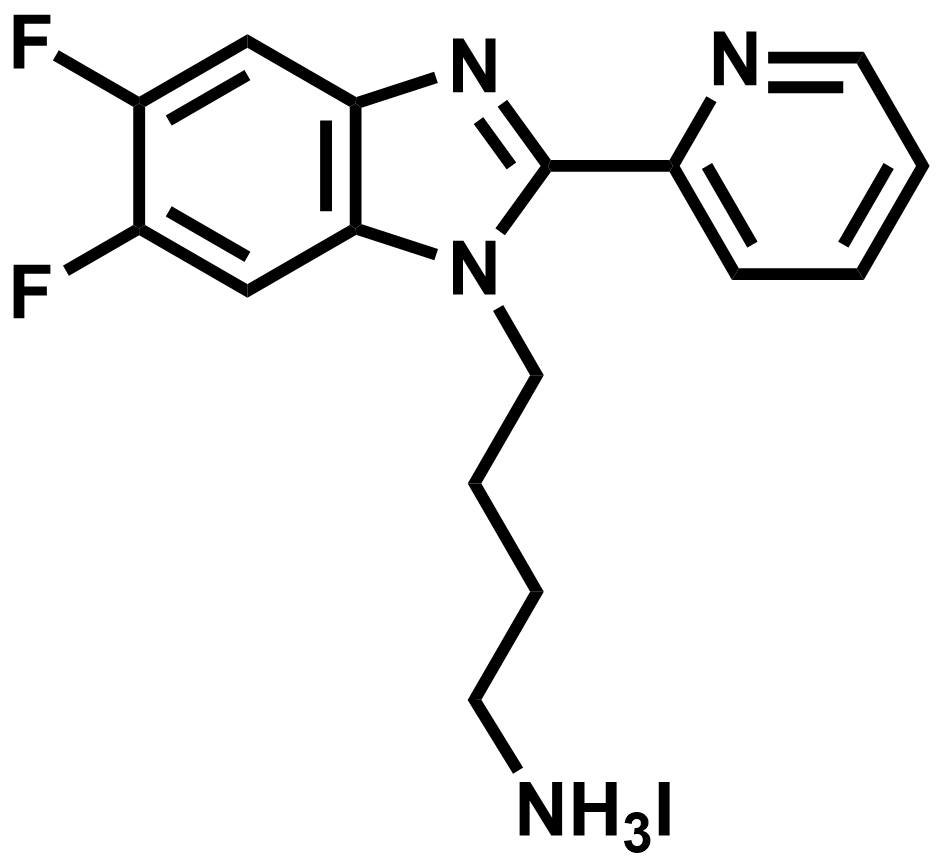 4-(5,6-difluoro-2-(pyridin-2-yl)-1H-benzo[d]imidazol-1-yl)butan-1-aminium iodide/